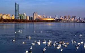 三門峽又一網(wǎng)紅景點，確定不來pick一下？